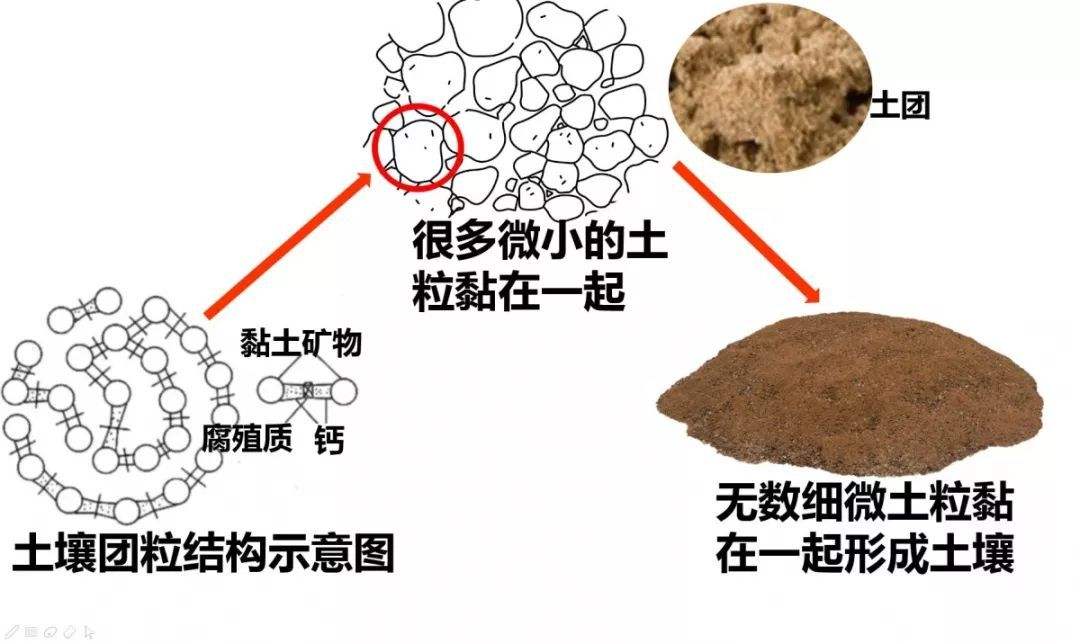 土壤磷,磷的有效性,土壤有效性